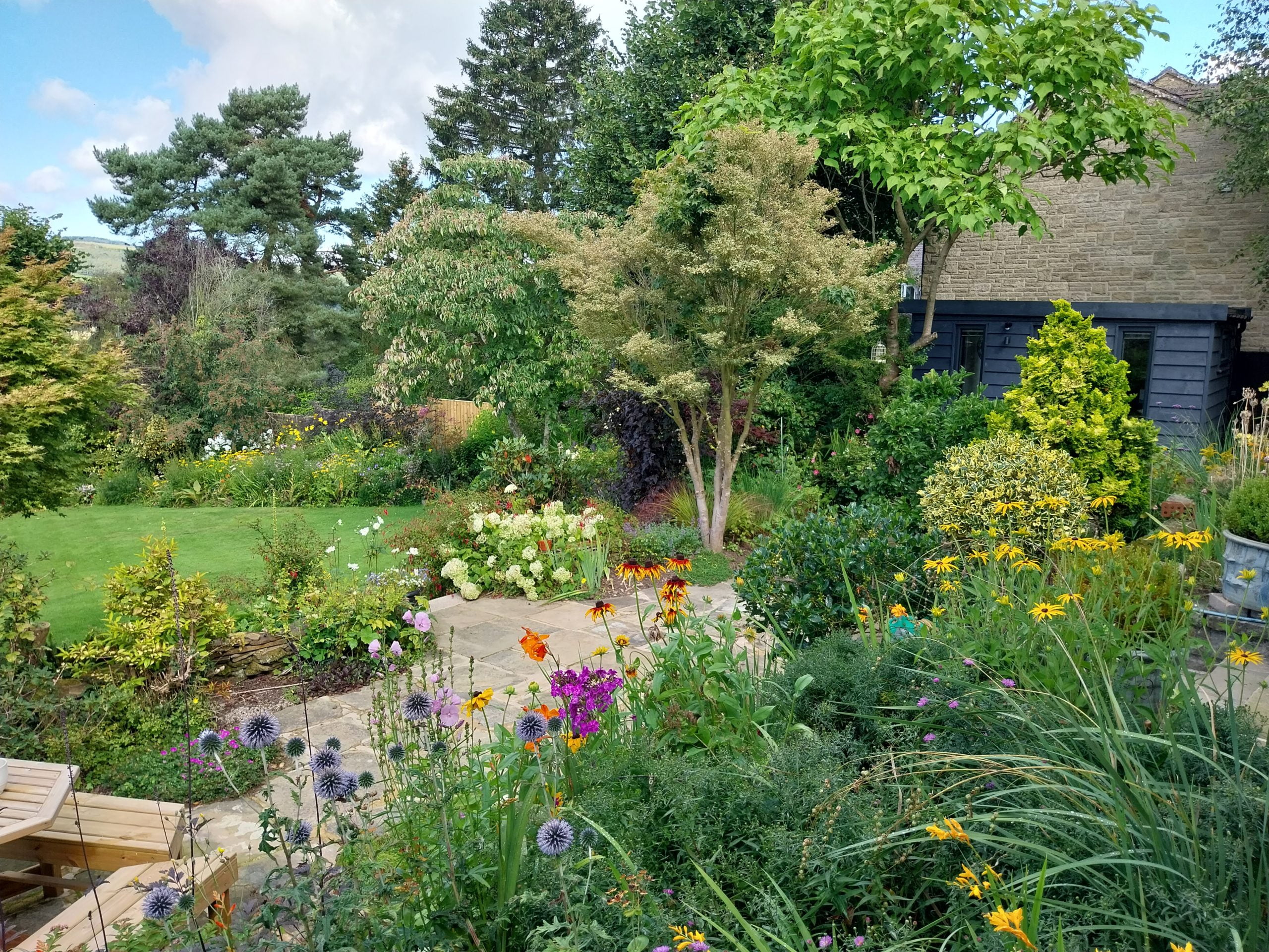 Lost in the garden - Dore Garden Offices